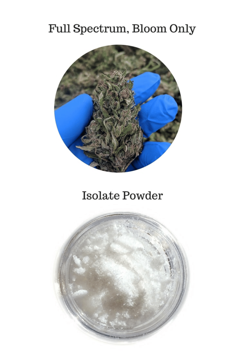 Image showcasing a vibrant cannabis flower symbolizing full spectrum CBD, juxtaposed with a white, isolated CBD depiction indicating a lesser quality extraction process.