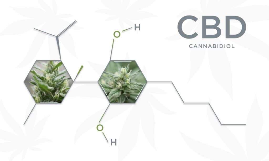 Trying CBD For Healing Wounds