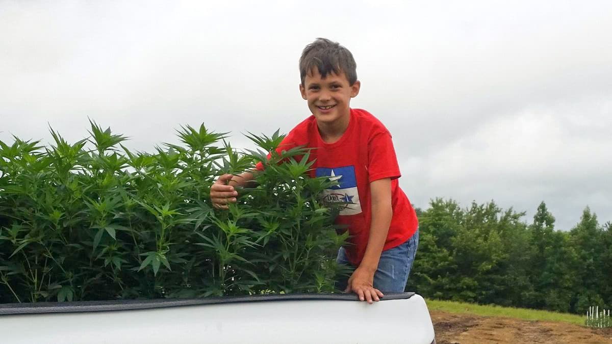 Colten Polyniak in a white truck, embracing the first CBD hemp plants in Kentucky.
