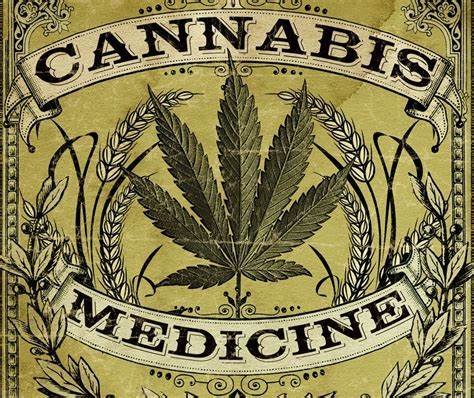 Vintage 1800s photo showing a cannabis leaf with bold lettering stating "CANNABIS MEDICINE.