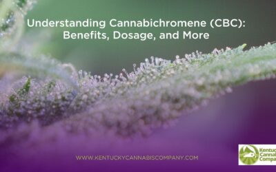 Understanding Cannabichromene CBC: Benefits, Dosage, and More