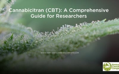 Discover Cannabicitran (CBT): A Minor Cannabinoid with Major Potential