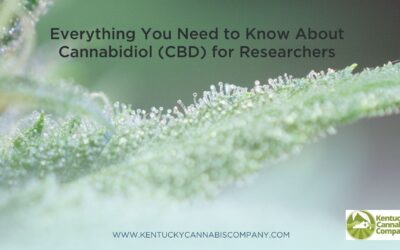 Everything You Need to Know About Cannabidiol (CBD) for Researchers