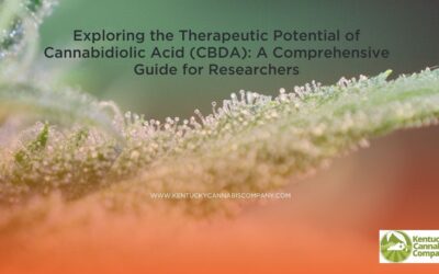 Therapeutic Potential of Cannabidiolic Acid (CBDA): A Comprehensive Guide for Researchers