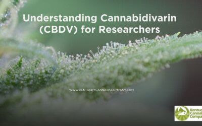 Understanding Cannabidivarin (CBDV) for Researchers
