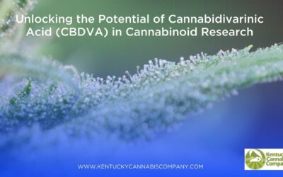 Unlocking the Potential of Cannabidivarinic Acid (CBDVA) in Cannabinoid Research