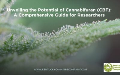 Unveiling the Potential of Cannabifuran (CBF): A Comprehensive Guide for Researchers
