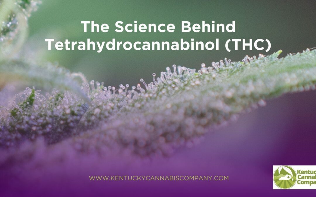 The Science Behind Tetrahydrocannabinol (THC)