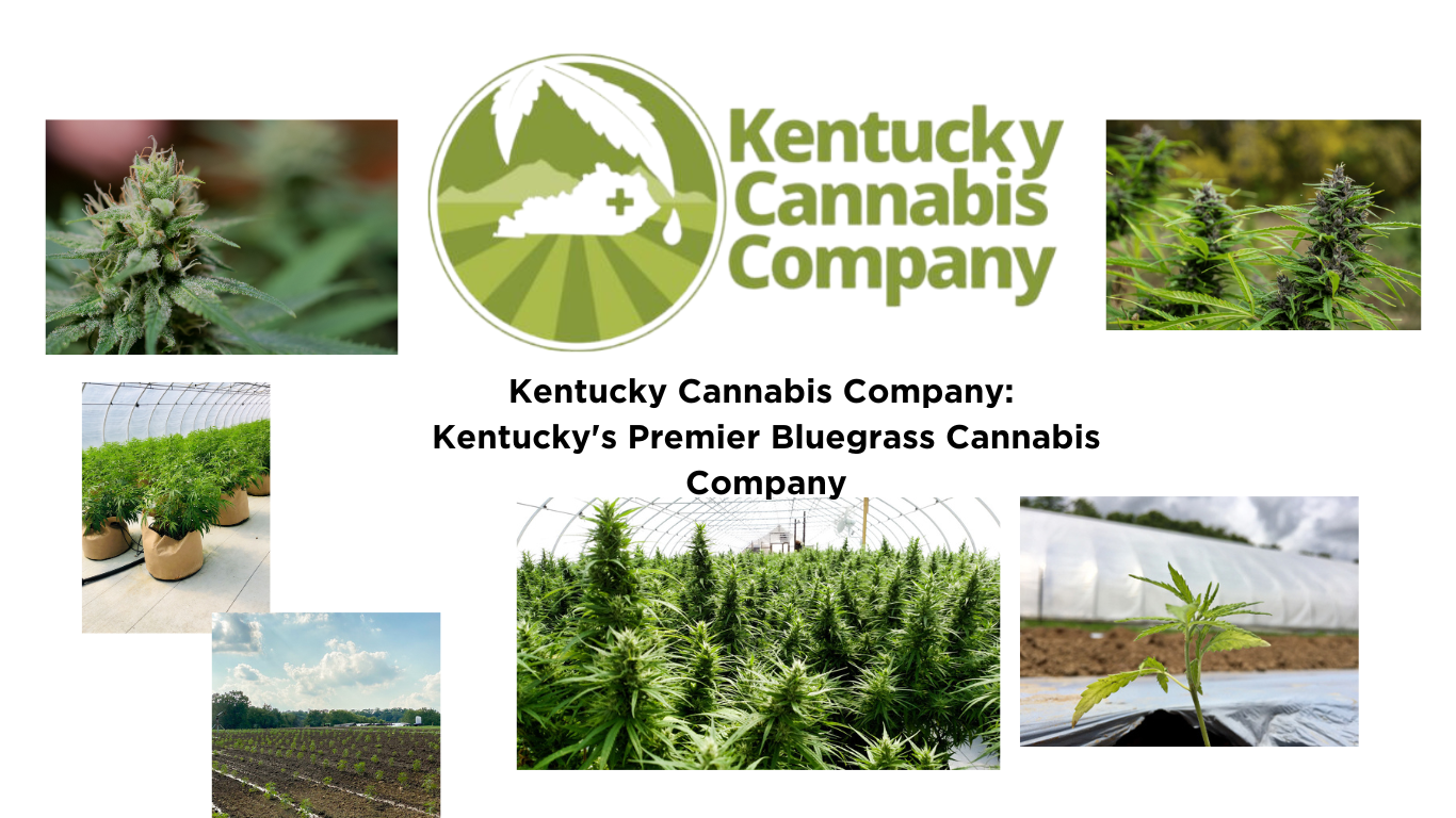 a graphic for Kentucky cannabis company.