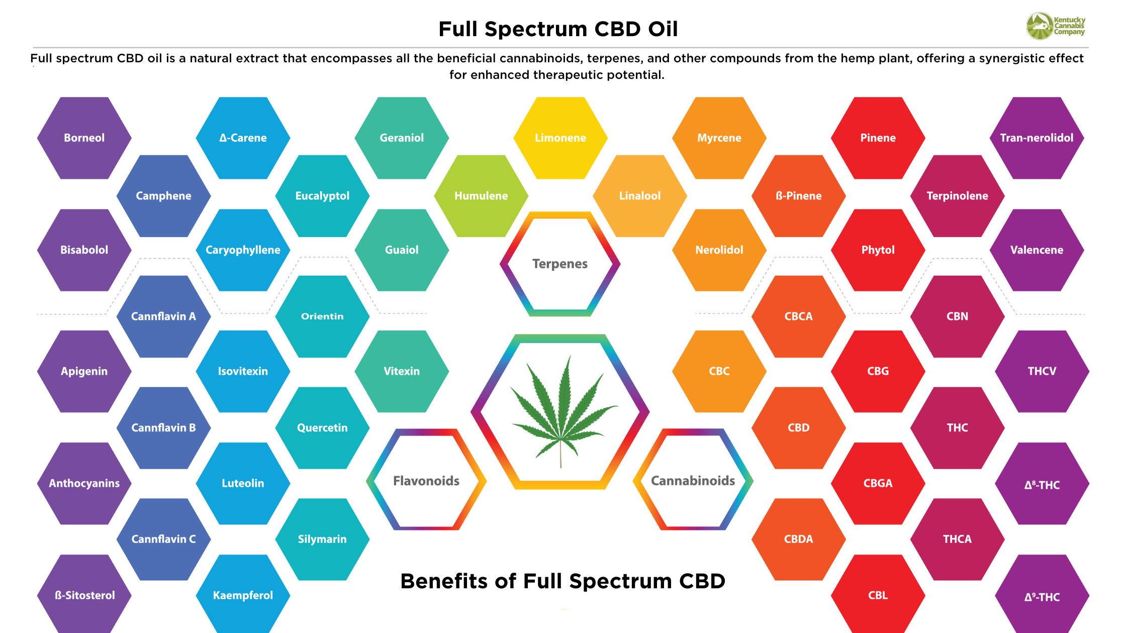 create a Alt Text, A title, Caption and description for a image showing the names of differant cannabinoids, terpinoids and flavornoids that make up Full Spectrum CBD Oil