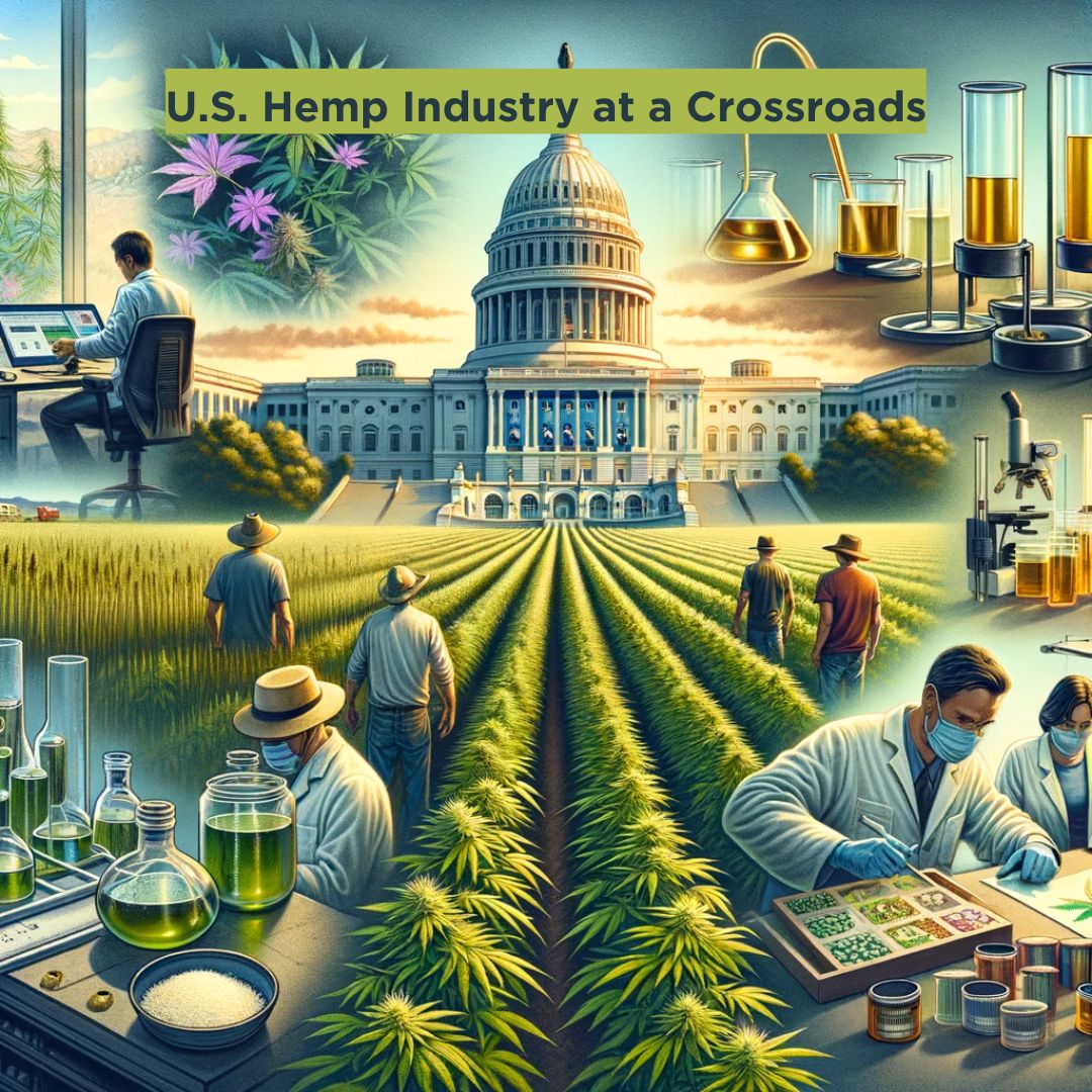 U.S. Capitol building in the background with sprawling hemp fields in the foreground and a glimpse of hemp manufacturing facilities to the side.