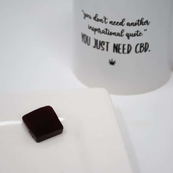 Image of a single elderberry CBD gummy on a white plate, accompanied by a coffee cup with the phrase 'You Just Need CBD' printed on it. The gummy is dark purple, bear-shaped, and has a glossy texture. The coffee cup is white with bold, black lettering, creating a simple yet striking contrast.