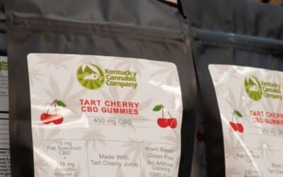 A vibrant photo showcasing a 30-count bag of 15mg Tart Cherry CBD Gummies by Kentucky Cannabis Company on a wooden table with tart cherries scattered around.