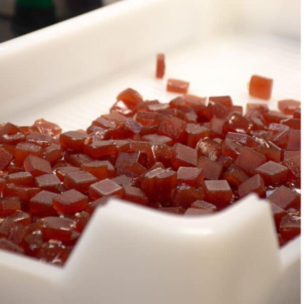 A close-up photo of a production tray filled with tart cherry CBD gummies at Kentucky Cannabis Company, capturing the vibrant red gummies in the process of being made.