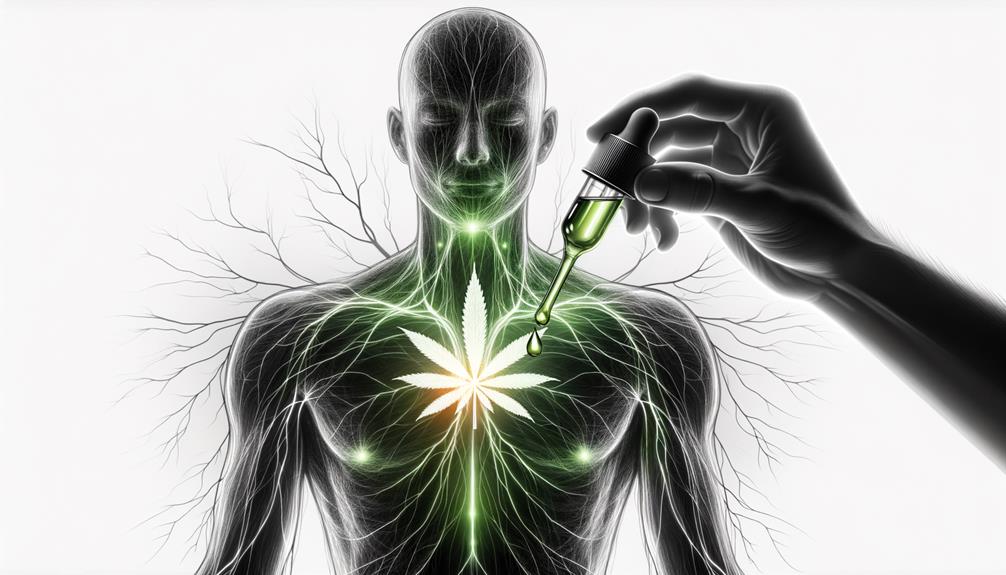 Why Is CBD Oil Beneficial for Pain Relief?