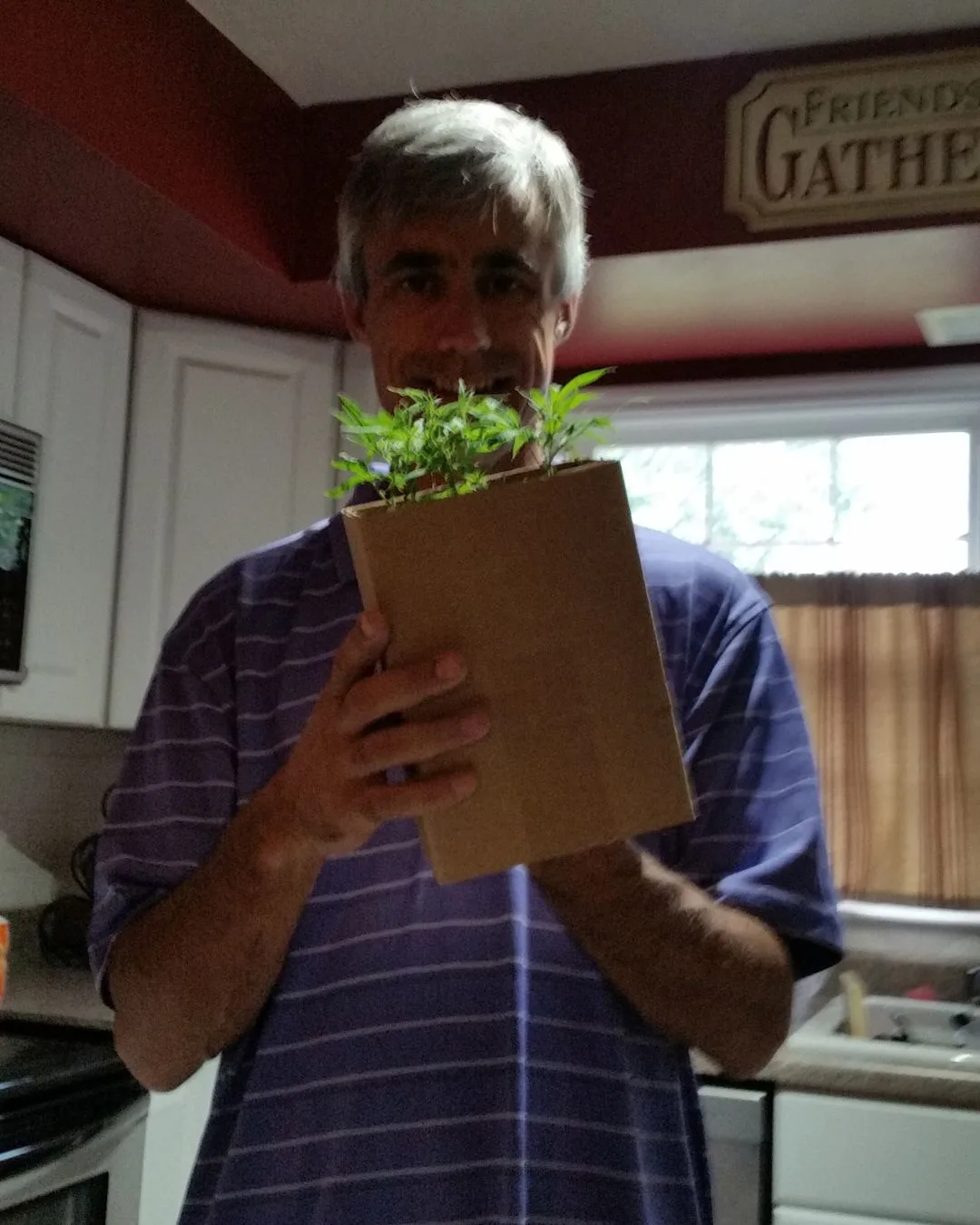 Bill Polyniak holding early high-CBD hemp clones in Kentucky in March 2014.