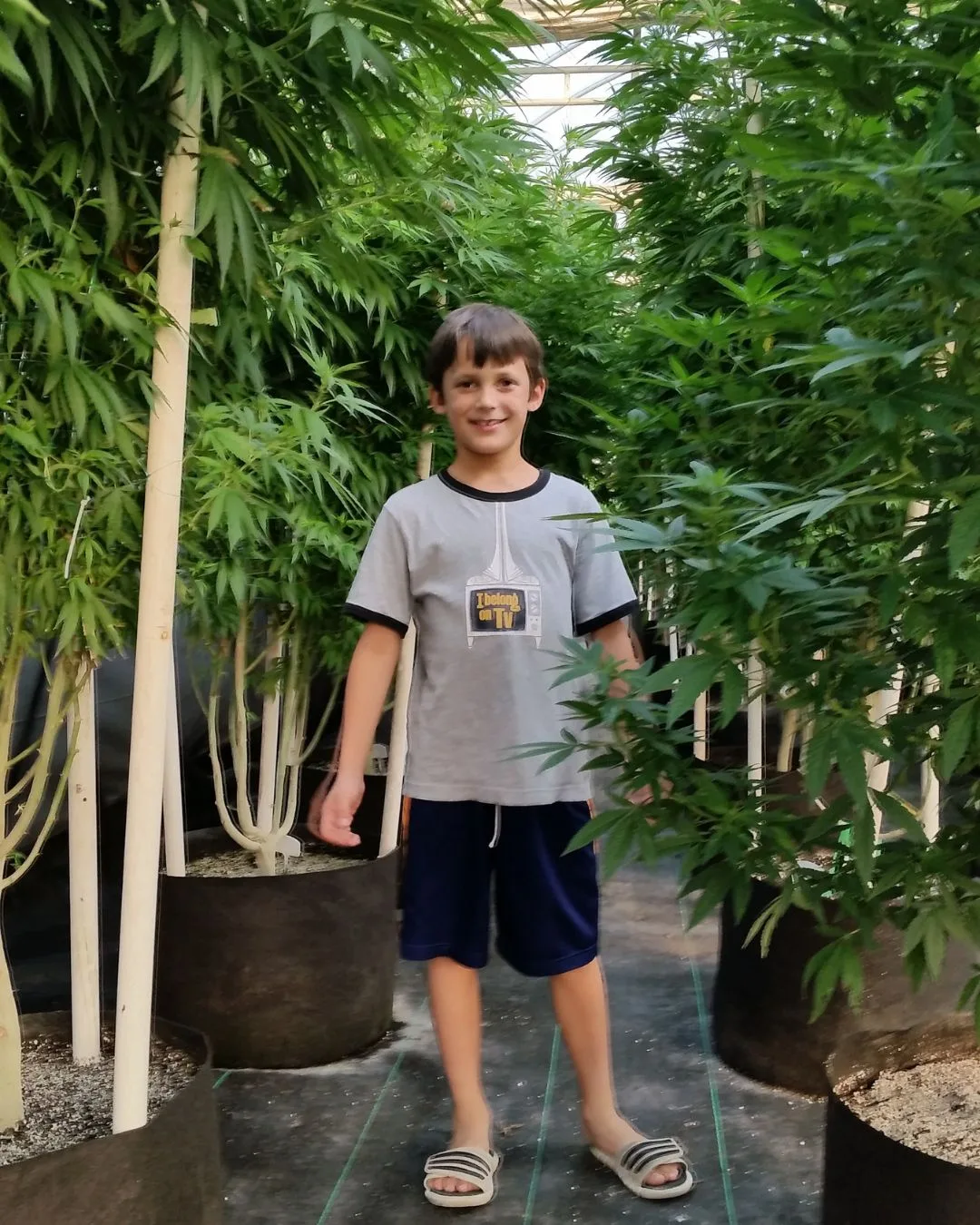 Young Colten Polyniak standing among tall cannabis sativa hemp plants in Kentucky.