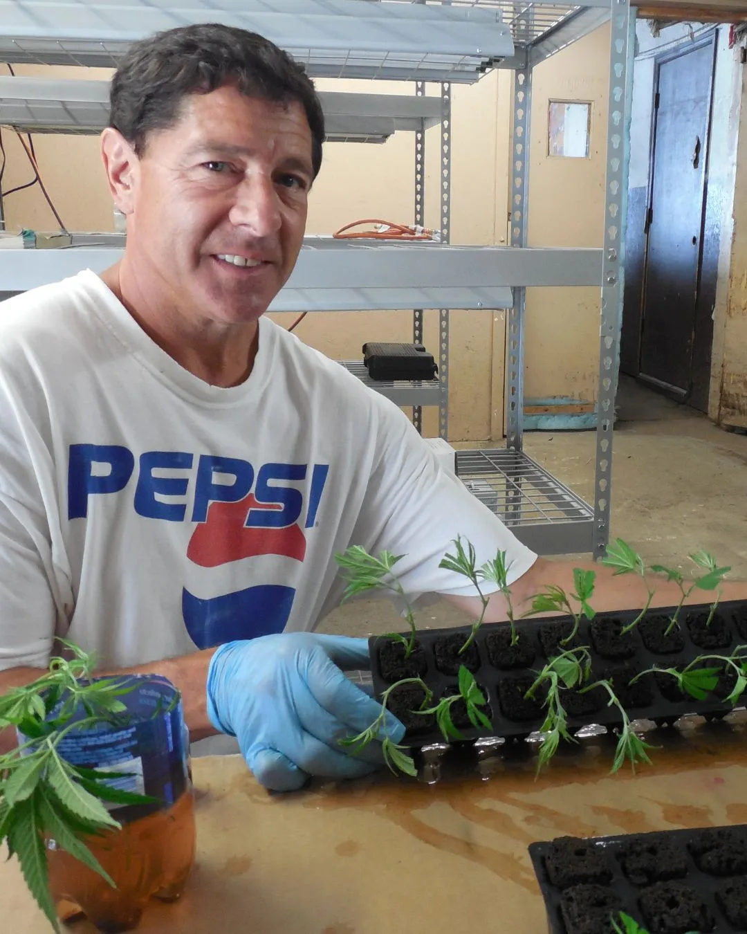 Dave Hendrick holding early high CBD hemp clones in Kentucky in March 2014